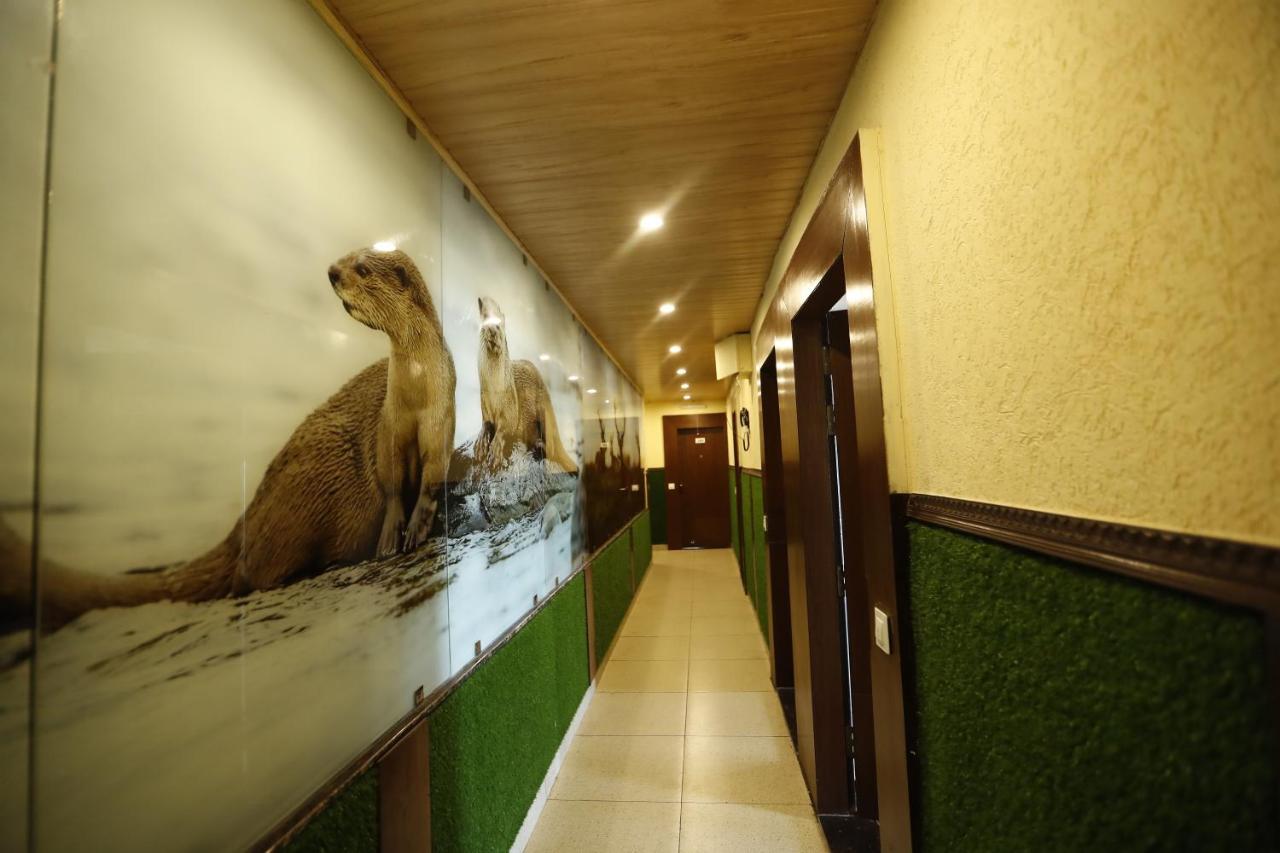 Hotel Kings Inn Mussoorie Zewnętrze zdjęcie